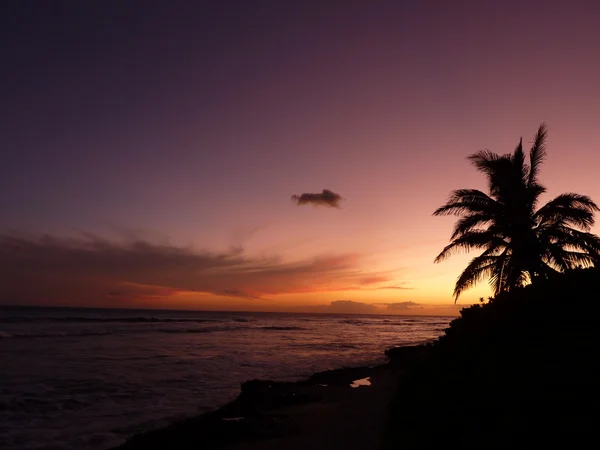 ハワイの夕日 ロイヤリティフリーのストック写真