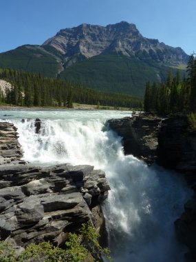 Athabasca Falls