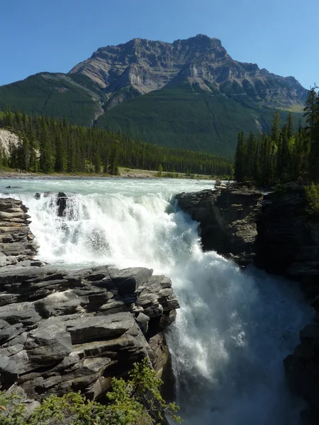 Athabasca vodopády — Stock fotografie
