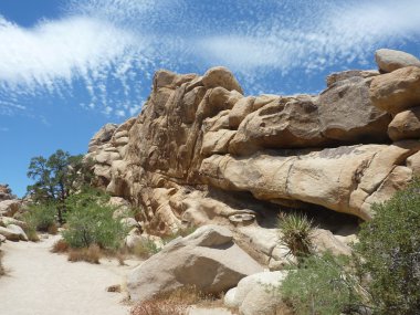 Joshua Tree Ulusal Parkı