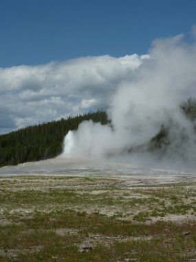 Old Faithful, Yellowstone