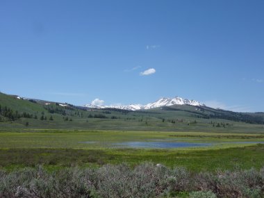 Yellowstone Milli Parkı