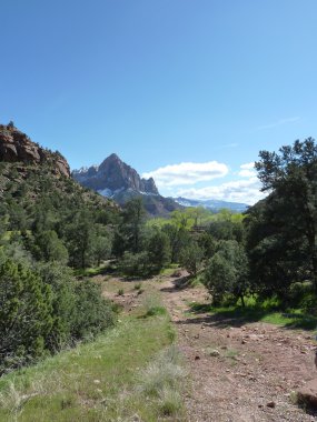 Zion national park