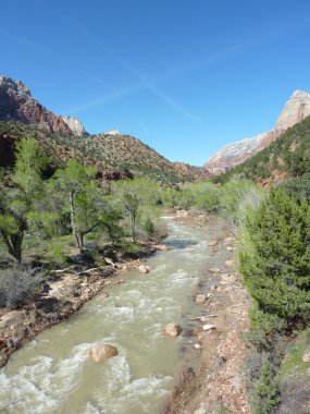 Zion national park