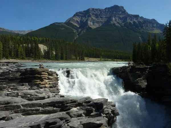 Cataratas de Athabasca — Foto de Stock