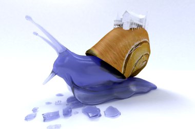 salyangoz kabuğu üzerinde bir ev ile