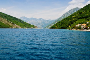 Kotor Körfezi