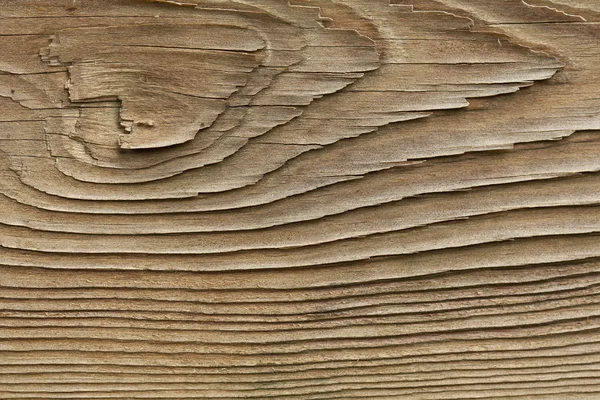Old piece of wood Stock Image