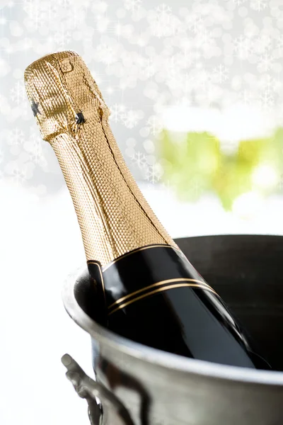 Bottiglia di champagne e neve — Foto Stock
