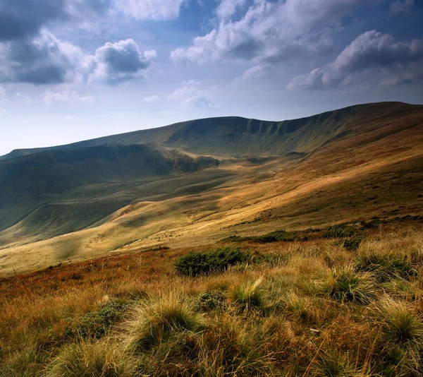 stock image Carpathian reserve