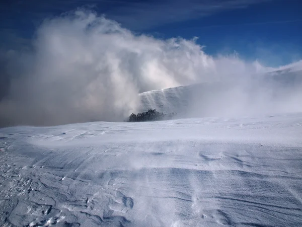 Snöstorm i bergen — Stockfoto