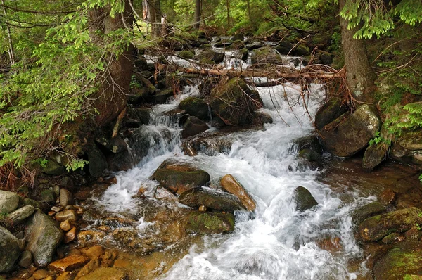 stock image Waterfall