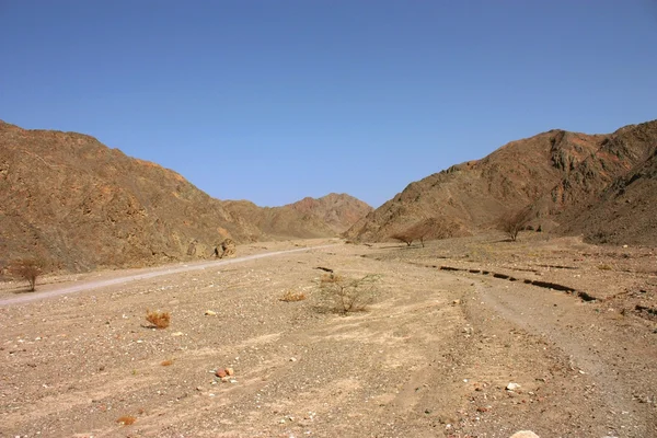 stock image Desert