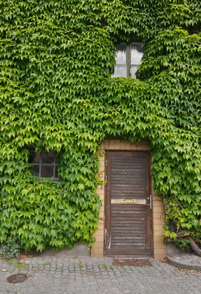 stock image Living the Green Life