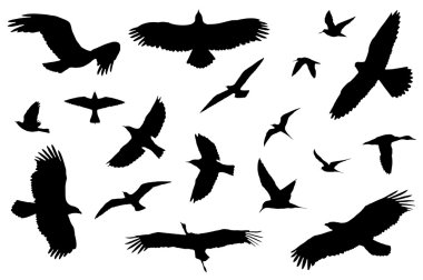 Bird Silhouette Collection clipart