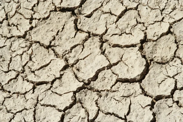 Crepe di fango secco — Foto Stock