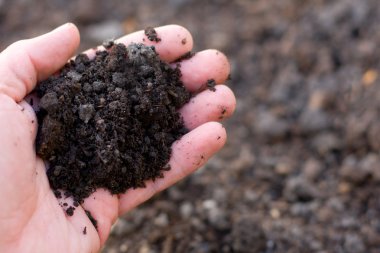 Handful of soil clipart