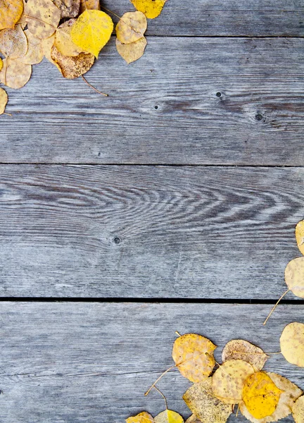 Фон осеннего листа — стоковое фото