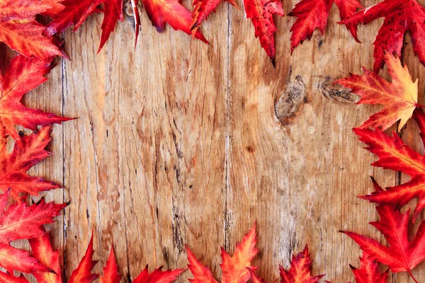 Outono fronteira foliar — Fotografia de Stock