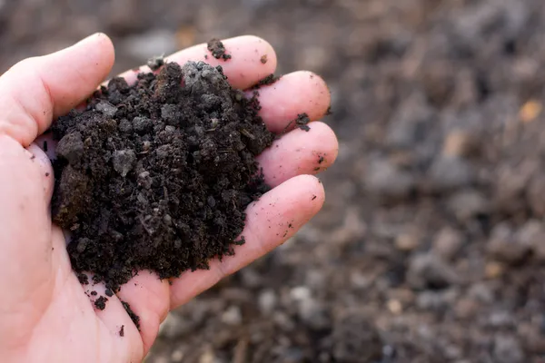Handful of soil — Stock Photo, Image