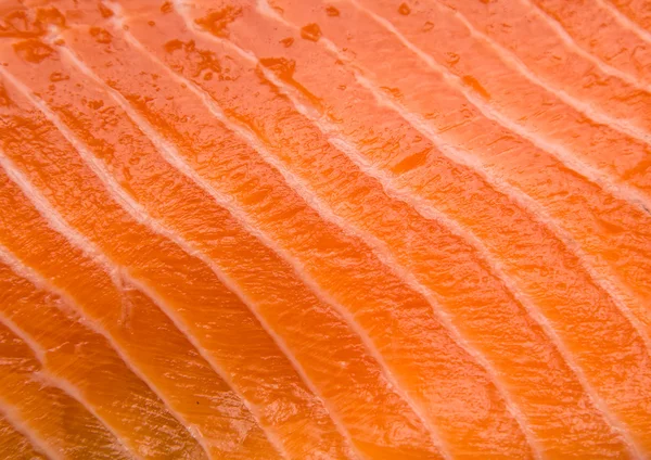 stock image Salmon fillet