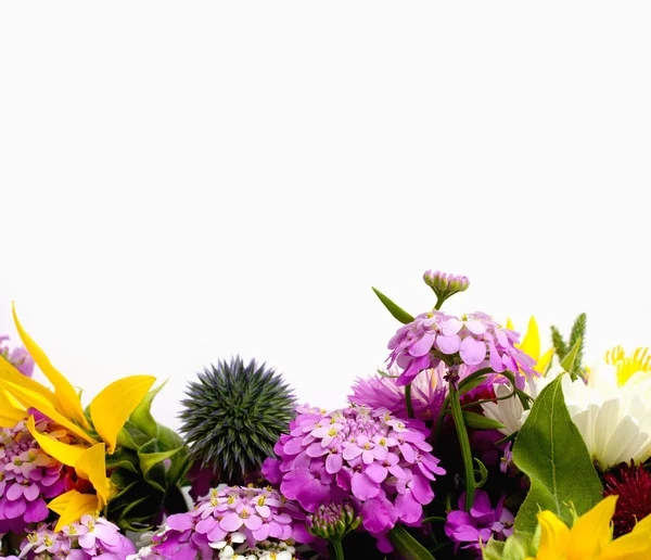 Flower border — Stock Photo, Image