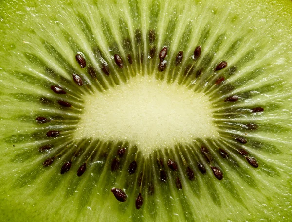 stock image Kiwi closeup