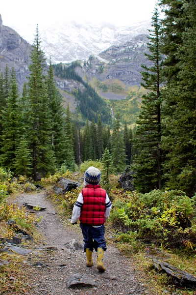 Boy in nature — Stock Photo, Image