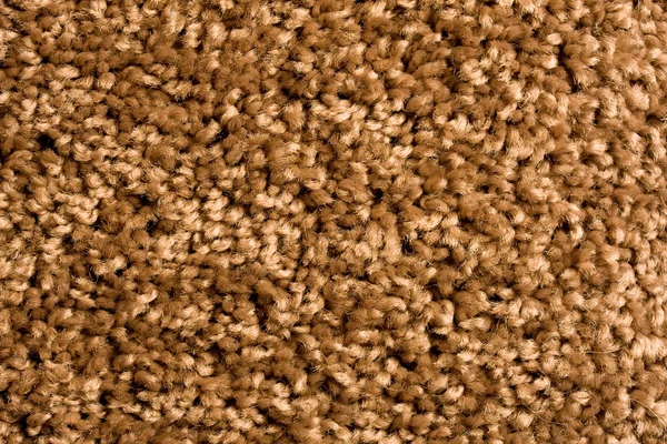 stock image Carpet background