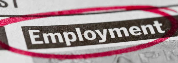 Employment banner — Stock Photo, Image