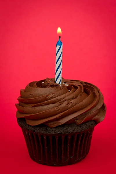 Cupcake celebração — Fotografia de Stock