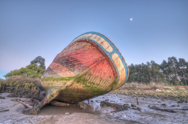 DNA'da sahildevarados en la playa.