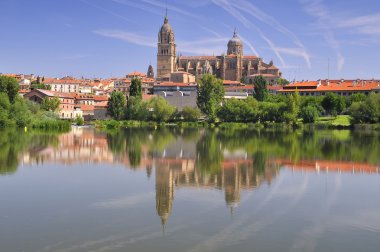 Salamanca cathedral.