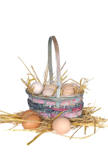 Huevos . — Foto de Stock