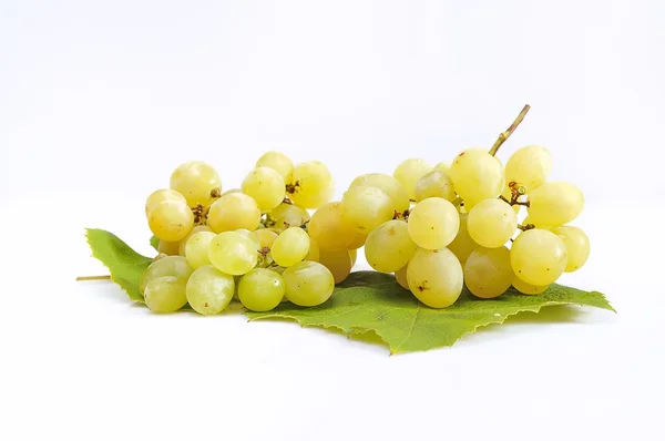 Желтый виноград . — стоковое фото