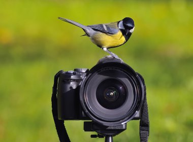 Photographer. clipart