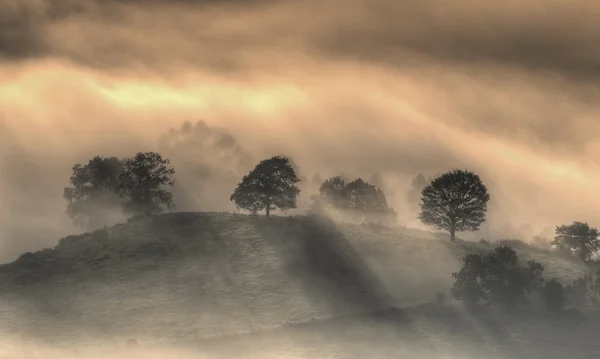 Svítání mezi mlha. — Stock fotografie