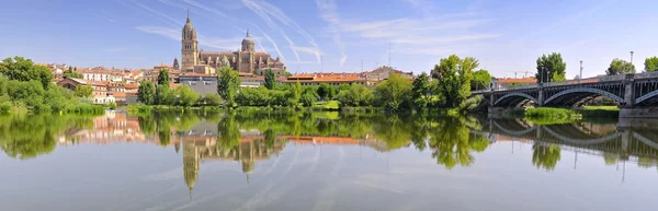 Catedral de Salamanca  . — Fotografia de Stock