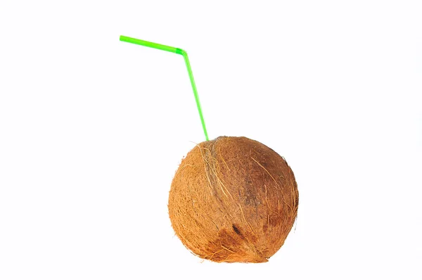 Coconut. — Stock Photo, Image