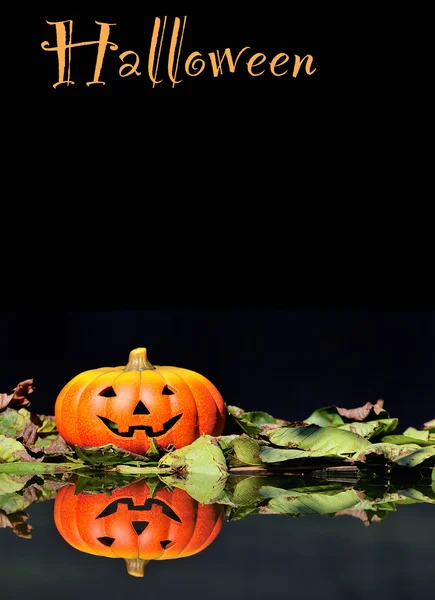 Halloween pompoen op een zwarte achtergrond. — Stockfoto