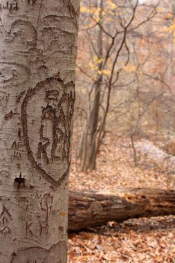 Tree Carvings II clipart