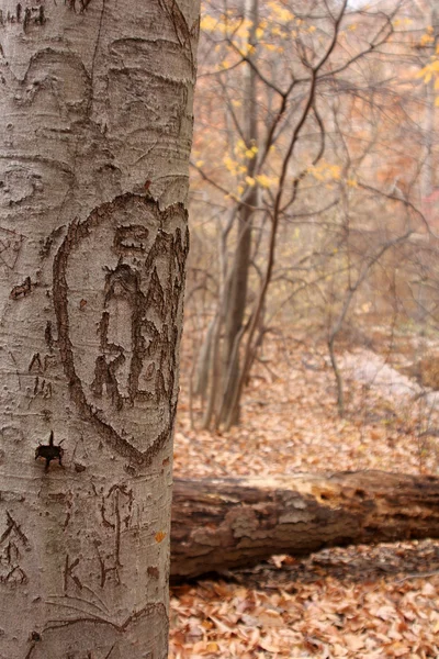 stock image Tree Carvings II