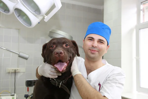 Eläinlääkäri ja koira . — kuvapankkivalokuva