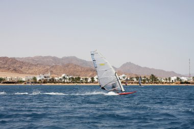 Windsurfing in Dahab. clipart