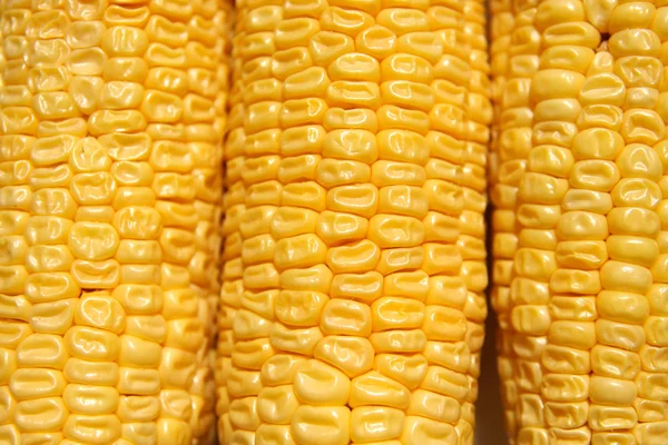 Kolby kukurydzy trzy. — Zdjęcie stockowe