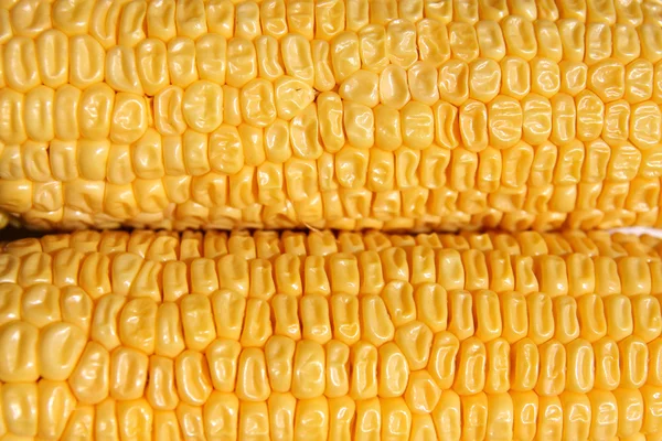 Dwie kolby kukurydzy poziome. — Zdjęcie stockowe