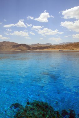 deniz mercan reef(2) ile. Kızıl Deniz. Mısır.