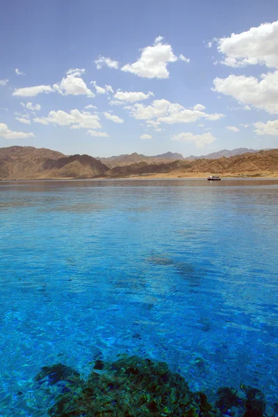 stock image Seascape with coral reef(2). Red Sea. Egypt.