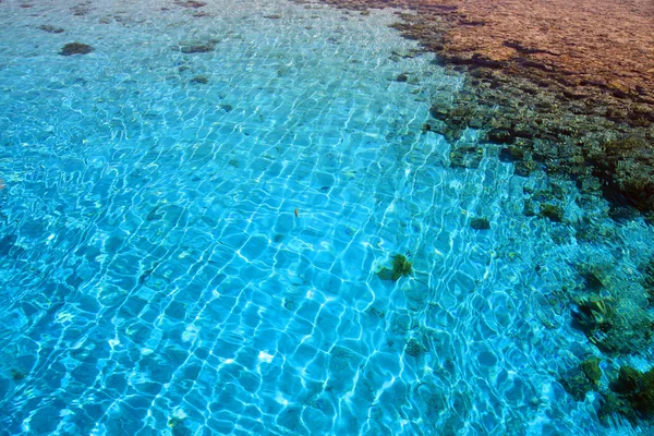 Arrecife de coral. Mar Rojo. Egipto . — Foto de Stock