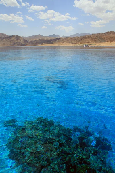 Zeegezicht met koraal rif. Rode Zee. Egypte. Stockfoto